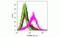 mCherry Tag  antibody, M11217, Invitrogen Antibodies, Flow Cytometry image 