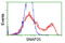 Synaptosome Associated Protein 25 antibody, LS-C172988, Lifespan Biosciences, Flow Cytometry image 