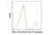 CD8 antibody, 72461S, Cell Signaling Technology, Flow Cytometry image 