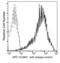 Vascular Cell Adhesion Molecule 1 antibody, 10113-R601-A, Sino Biological, Flow Cytometry image 