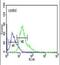 Chromosome 19 Open Reading Frame 18 antibody, PA5-26826, Invitrogen Antibodies, Flow Cytometry image 