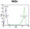 Complement Component 4 Binding Protein Alpha antibody, abx032673, Abbexa, Flow Cytometry image 