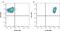 END antibody, MCA1557A488T, Bio-Rad (formerly AbD Serotec) , Flow Cytometry image 