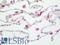 Major Histocompatibility Complex, Class II, DP Beta 1 antibody, LS-B13002, Lifespan Biosciences, Immunohistochemistry paraffin image 