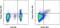 FOXP3 antibody, 48-4776-41, Invitrogen Antibodies, Flow Cytometry image 