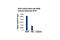 Sp1 Transcription Factor antibody, 9389S, Cell Signaling Technology, Chromatin Immunoprecipitation image 