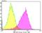 Hypoxia Up-Regulated 1 antibody, NBP2-76858, Novus Biologicals, Flow Cytometry image 