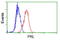 Prolactin antibody, GTX83802, GeneTex, Flow Cytometry image 