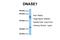 Deoxyribonuclease 1 antibody, NBP1-59404, Novus Biologicals, Western Blot image 