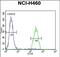 Beta-1,3-Galactosyltransferase 5 antibody, PA5-71477, Invitrogen Antibodies, Flow Cytometry image 