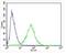 TRNA Methyltransferase 9B (Putative) antibody, orb373563, Biorbyt, Flow Cytometry image 