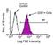 CD81 Molecule antibody, NBP1-28136, Novus Biologicals, Flow Cytometry image 