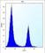 Carbonyl Reductase 3 antibody, abx027078, Abbexa, Western Blot image 