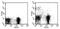 CD11C antibody, 17-0114-82, Invitrogen Antibodies, Flow Cytometry image 