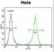 DnaJ Heat Shock Protein Family (Hsp40) Member B6 antibody, LS-C167465, Lifespan Biosciences, Flow Cytometry image 