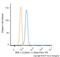 BMI1 Proto-Oncogene, Polycomb Ring Finger antibody, NBP1-96140AF488, Novus Biologicals, Flow Cytometry image 