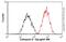 Cathepsin D antibody, ab75852, Abcam, Flow Cytometry image 