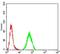 RAD23 Homolog A, Nucleotide Excision Repair Protein antibody, NBP2-52549, Novus Biologicals, Flow Cytometry image 