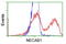 N-Terminal EF-Hand Calcium Binding Protein 1 antibody, TA502546, Origene, Flow Cytometry image 