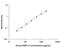 Bone Morphogenetic Protein 7 antibody, DBP700, R&D Systems, Enzyme Linked Immunosorbent Assay image 