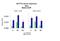 TATA-Box Binding Protein Associated Factor 1 antibody, PA5-40548, Invitrogen Antibodies, Chromatin Immunoprecipitation image 