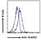 SLAIN Motif Family Member 2 antibody, NBP2-75967, Novus Biologicals, Flow Cytometry image 