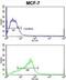 ADAM Metallopeptidase Domain 9 antibody, abx033395, Abbexa, Flow Cytometry image 