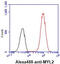 Myosin Light Chain 2 antibody, GTX57570, GeneTex, Flow Cytometry image 