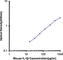 Interleukin 1 Beta antibody, 503502, BioLegend, Enzyme Linked Immunosorbent Assay image 