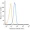 Senataxin antibody, NBP2-52726, Novus Biologicals, Flow Cytometry image 