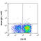 T Cell Immunoreceptor With Ig And ITIM Domains antibody, 142106, BioLegend, Flow Cytometry image 