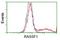 Ras Association Domain Family Member 1 antibody, NBP2-03644, Novus Biologicals, Flow Cytometry image 