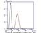 Citrate Synthase antibody, NBP2-75450, Novus Biologicals, Flow Cytometry image 