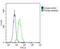 Galactosylceramidase antibody, PA5-72315, Invitrogen Antibodies, Flow Cytometry image 