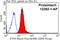 Electron transfer flavoprotein subunit alpha, mitochondrial antibody, 12262-1-AP, Proteintech Group, Flow Cytometry image 