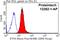 Electron Transfer Flavoprotein Subunit Alpha antibody, 12262-1-AP, Proteintech Group, Flow Cytometry image 