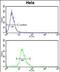 Dolichol Kinase antibody, PA5-49645, Invitrogen Antibodies, Flow Cytometry image 