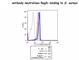 Regenerating Family Member 3 Gamma antibody, abx032566, Abbexa, Western Blot image 