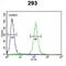 Histone-lysine N-methyltransferase SUV420H2 antibody, abx032837, Abbexa, Flow Cytometry image 