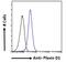 Plexin D1 antibody, PA5-18349, Invitrogen Antibodies, Immunofluorescence image 