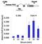 Platelet Derived Growth Factor Receptor Alpha antibody, 701142, Invitrogen Antibodies, Chromatin Immunoprecipitation image 