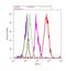 Forkhead Box N3 antibody, 702764, Invitrogen Antibodies, Flow Cytometry image 