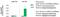 5-Methylcytidine antibody, MA1-80331, Invitrogen Antibodies, Chromatin Immunoprecipitation image 