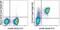 CD16 antibody, 63-0161-80, Invitrogen Antibodies, Flow Cytometry image 