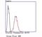 Solute carrier family 2, facilitated glucose transporter member 3 antibody, NBP2-66872, Novus Biologicals, Flow Cytometry image 