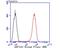 Eukaryotic Translation Elongation Factor 1 Alpha 1 antibody, NBP2-75478, Novus Biologicals, Flow Cytometry image 