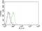 Chromobox 3 antibody, orb382927, Biorbyt, Flow Cytometry image 