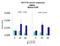 Methyl-CpG Binding Domain 4, DNA Glycosylase antibody, PA5-68656, Invitrogen Antibodies, Chromatin Immunoprecipitation image 