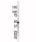 Inhibitor Of Nuclear Factor Kappa B Kinase Regulatory Subunit Gamma antibody, F40422-0.4ML, NSJ Bioreagents, Western Blot image 