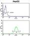 Homer Scaffold Protein 1 antibody, abx033309, Abbexa, Flow Cytometry image 